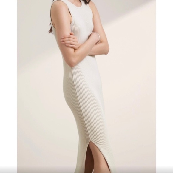 Babaton Gabe Knit Dress